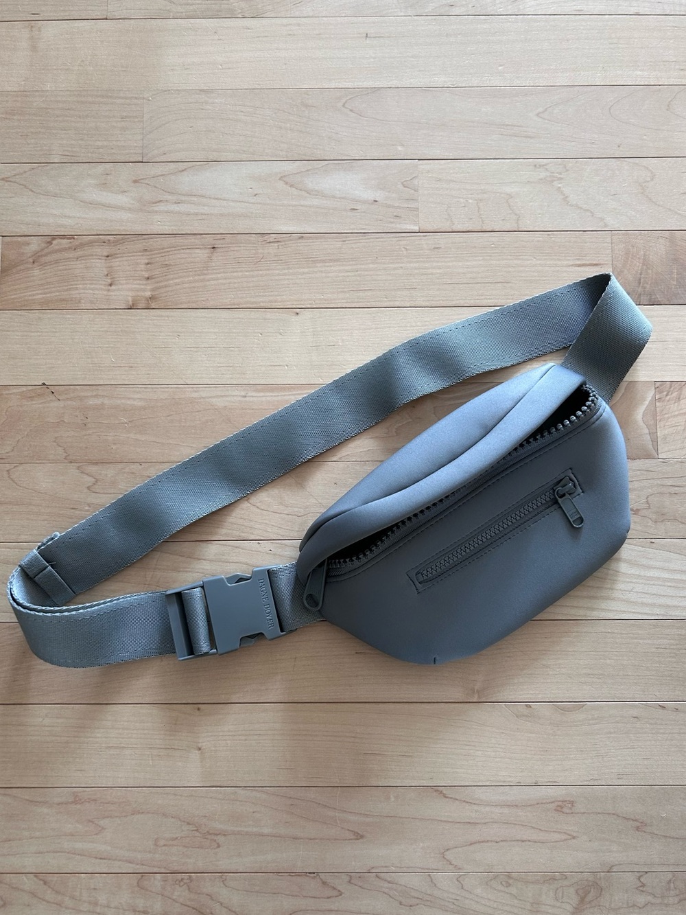 Dagne Dover Ace Fanny Pack in Sage